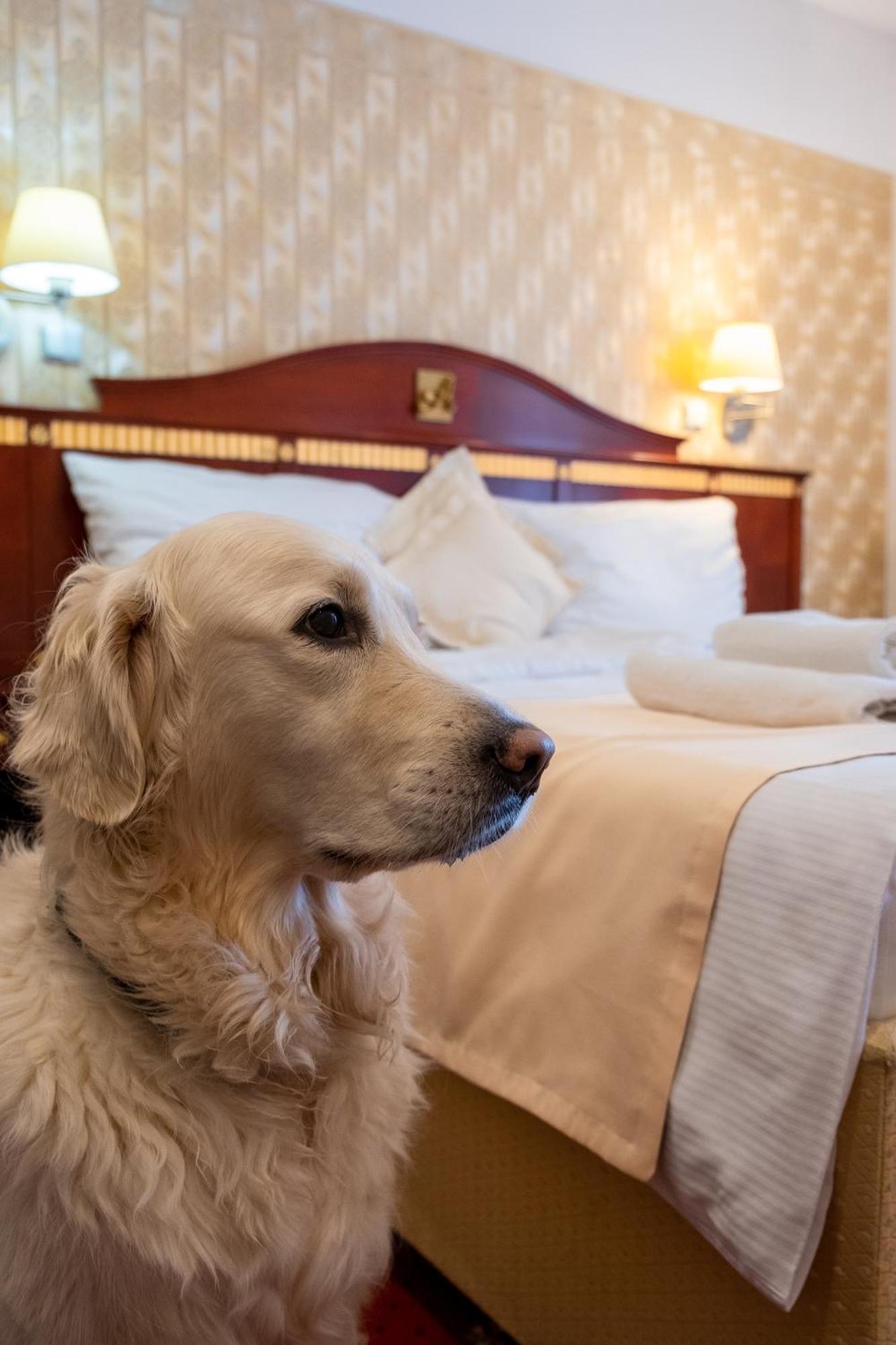 Hotel Tommy Wellness & Spa Наход Экстерьер фото